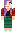 skin of a player