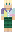skin of a player