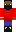 skin of a player