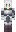 skin of a player