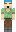 skin of a player