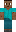 skin of a player