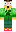 skin of a player