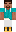 skin of a player