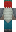 skin of a player