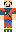 skin of a player