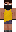 skin of a player