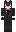 skin of a player