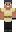 skin of a player