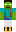 skin of a player