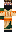 skin of a player
