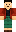 skin of a player