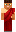skin of a player