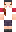 skin of a player
