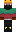 skin of a player