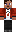 skin of a player