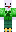 skin of a player