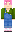 skin of a player