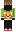 skin of a player