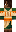 skin of a player