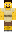 skin of a player