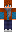 skin of a player