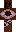 skin of a player