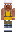 skin of a player