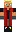 skin of a player