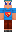 skin of a player