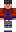 skin of a player