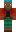 skin of a player
