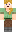 skin of a player