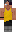 skin of a player