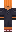 skin of a player