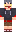 skin of a player