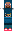 skin of a player