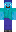 skin of a player