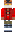 skin of a player