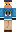 skin of a player