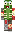 skin of a player