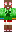 skin of a player