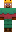 skin of a player