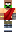 skin of a player