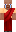 skin of a player