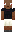 skin of a player