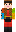 skin of a player