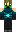 skin of a player