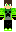 skin of a player