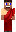 skin of a player